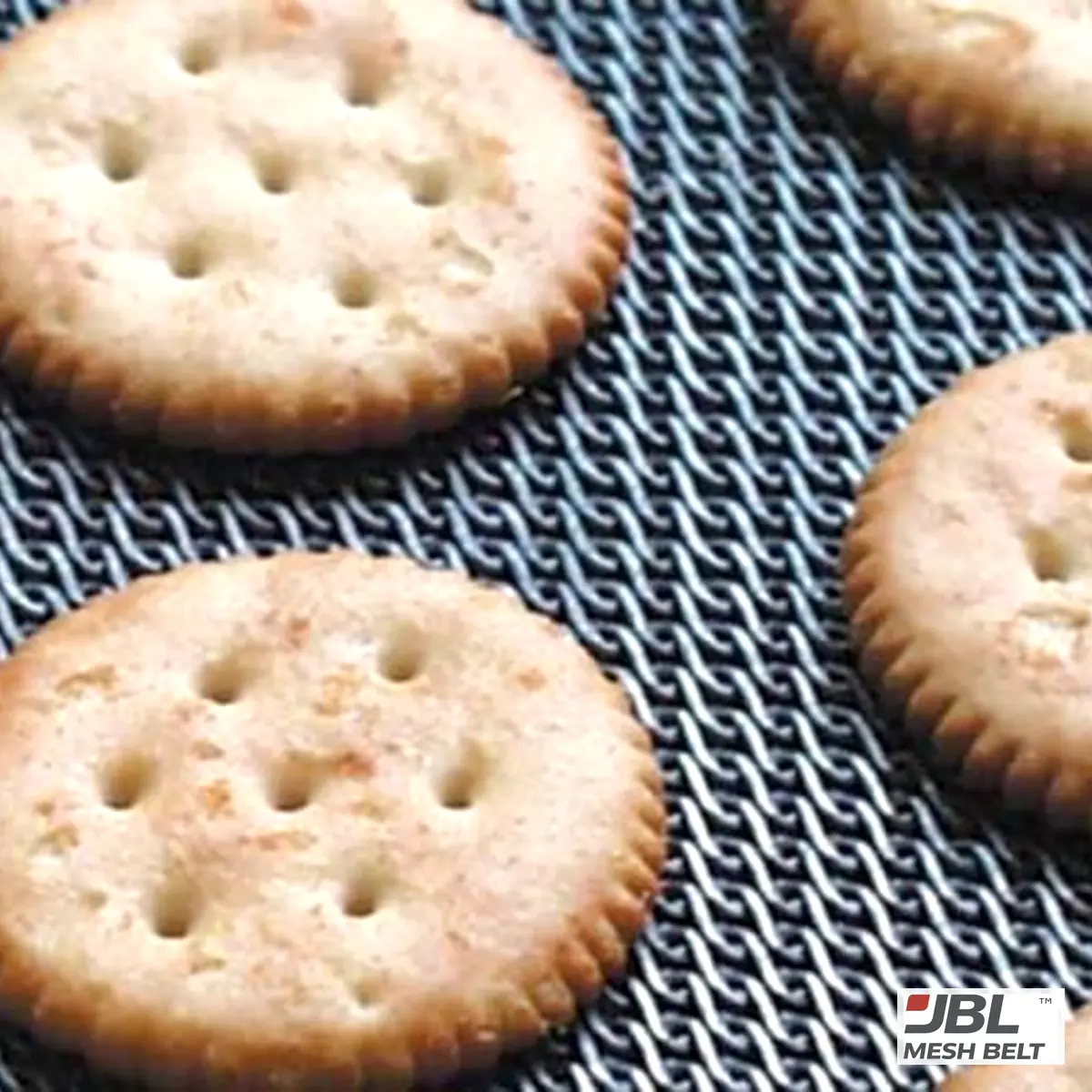 Crackers on a dense biscuit oven belt