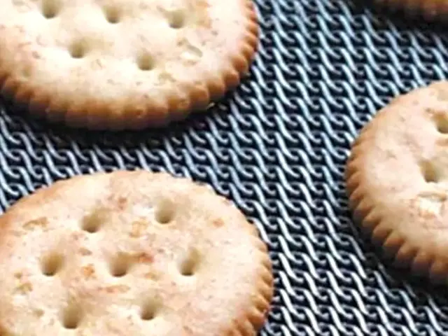 Crackers on a dense biscuit oven belt