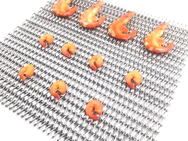 Shrimp on a stainless steel conveyor belt